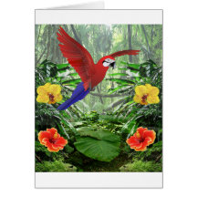 Floresta húmida tropical cartões