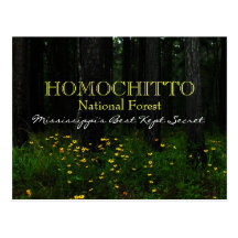 Floresta nacional de Homochitto - cartão de Missis Cartão Postal