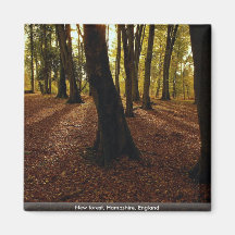Floresta nova, Hampshire, Inglaterra Imã