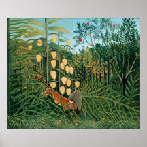 Floresta tropical - tigre e búfalo de luta pôsteres