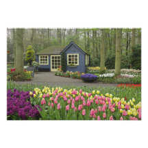 Florista pequeno da casa de campo, jardins de Keuk Foto Arte