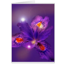 Flower power roxo cartões