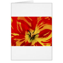 Flower power vermelho cartoes