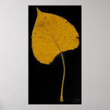 folha com assinatura posters