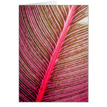 Folha tropical cartao