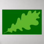 Folha verde, projeto da folha do carvalho poster
