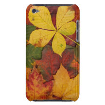 Folhas brilhantemente coloridas da queda capas iPod Case-Mate