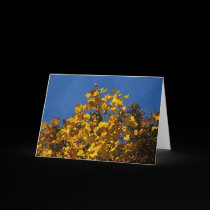 Folhas do amarelo contra o cartão de nota do céu a postais