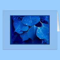 Folhas do inverno cartões