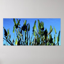 Folhas que refletem o poster das folhas
