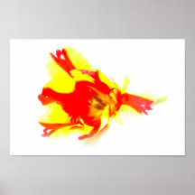 Foto do abstrato da tulipa do papagaio posters