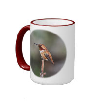 Foto do colibri canegas
