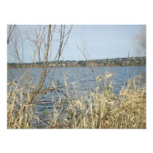 Foto interessante do lago