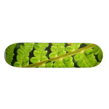 Foto macro da samambaia 4 skates personalizados