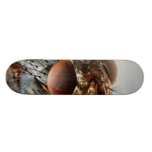 Foto macro de uma mosca skate