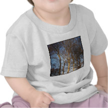 Foto quadrada - árvores Sunlit do inverno Camiseta