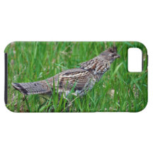Fotografia fêmea selvagem dos animais selvagens do capa de iPhone 5 Case-Mate
