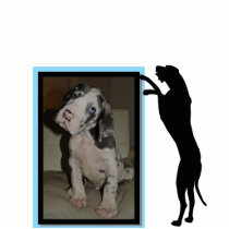 Fotoramen com Springdogge esculturas de fotografias