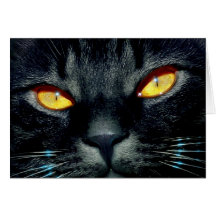 Fotos preciosas do gato e do gatinho, presentes -  cartões