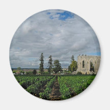 France Imã