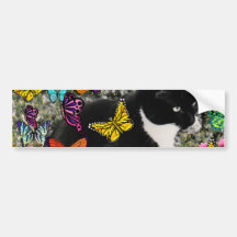 Freckles nas borboletas - gatinho do smoking adesivos