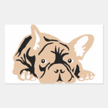 French Bulldog veneno Adesivo Em Formato Retângular