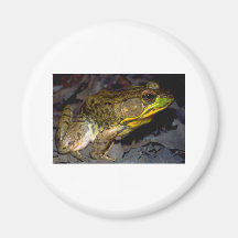 froggreen3 imas