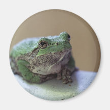 frogtree imas de geladeira
