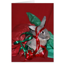 Frustração do papel de embrulho do Natal Cartões