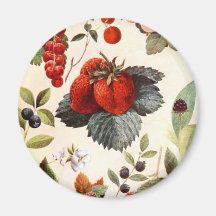 Fruta botânica imãs de refrigerador