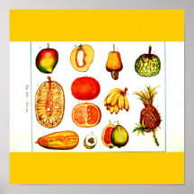 Fruta Poster-Botanicals-Misturada