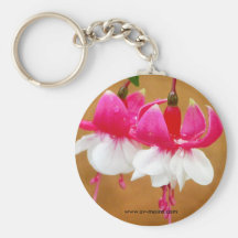 Fúcsia (fuschsia), San Gabriel de Barrera Chaveiro