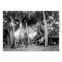 Fuga do rio indiano, Florida: 1890s Cartao