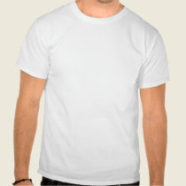 Fukushima -02 t - shirts