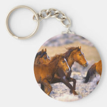 Funcionamento dos cavalos chaveiros