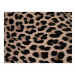Fundo da pele do leopardo cartão postal