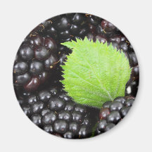 Fundo de Blackberry Imãs