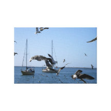 Gaivotas1 Impressão Em Canvas