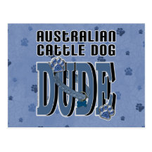 GAJO australiano do cão do gado Cartão Postal