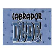 GAJO de Labrador Cartao Postal