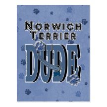 GAJO de Norwich Terrier Cartoes Postais