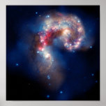 Galáxia de NASAs NGC 4038-4039 Impressão