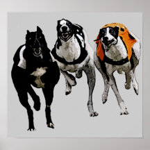 GALGO DA RAÇA DO CÃO POSTERS
