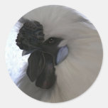 Galinha anã de Silkie Adesivos Redondos