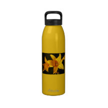 Garrafa de água amarela da orquídea