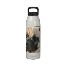 Garrafa de água da raça do cão do Pug
