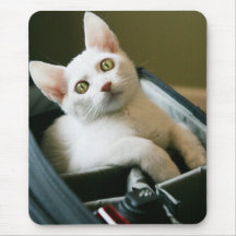 "Gatinho branco em um saco" Mousepad da câmera