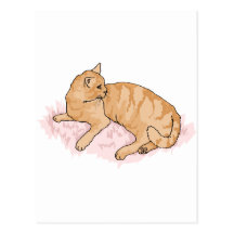 gatinho cartão postal