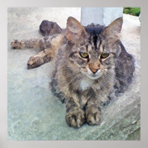 Gatinho de assento impressão