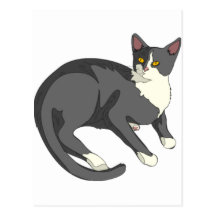 Gatinho Kat Cartão Postal